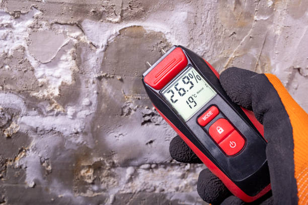 Mold Removal and Inspection in Snowflake, AZ
